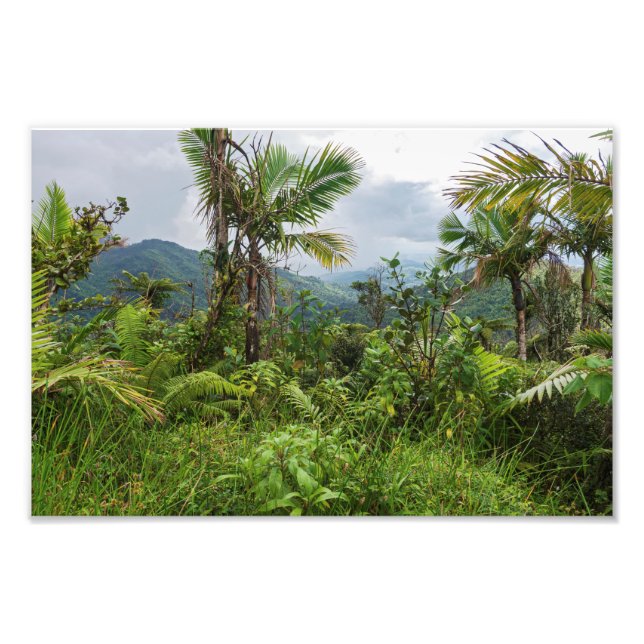Foto Picos e vales de el yunque (Frente)