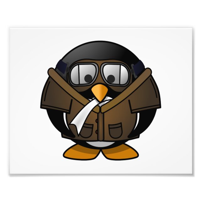 Foto Piloto Penguin (Frente)