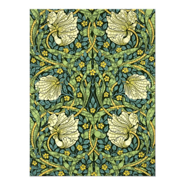 Foto Pimpernel, Infinity Dots by After William Morris (Frente)