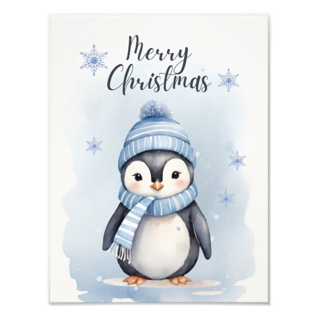 Foto "Pinguim Bonito" (Frente)