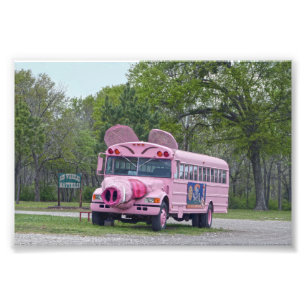 Foto Pink Ben Wheeler, Texas, Hogfest Bus