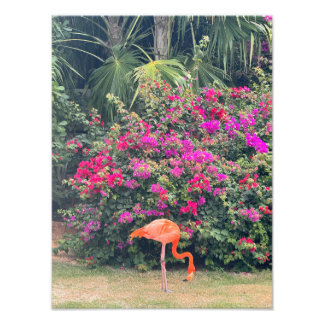 Foto Pink Flamingo in the Tropical Foliage