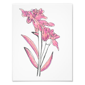 Foto Pink Orchid Print