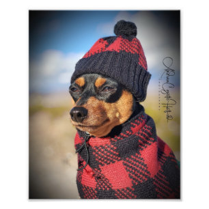 Foto Pino Min Inverno