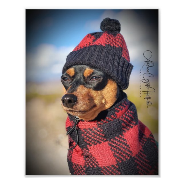 Foto Pino Min Inverno (Frente)
