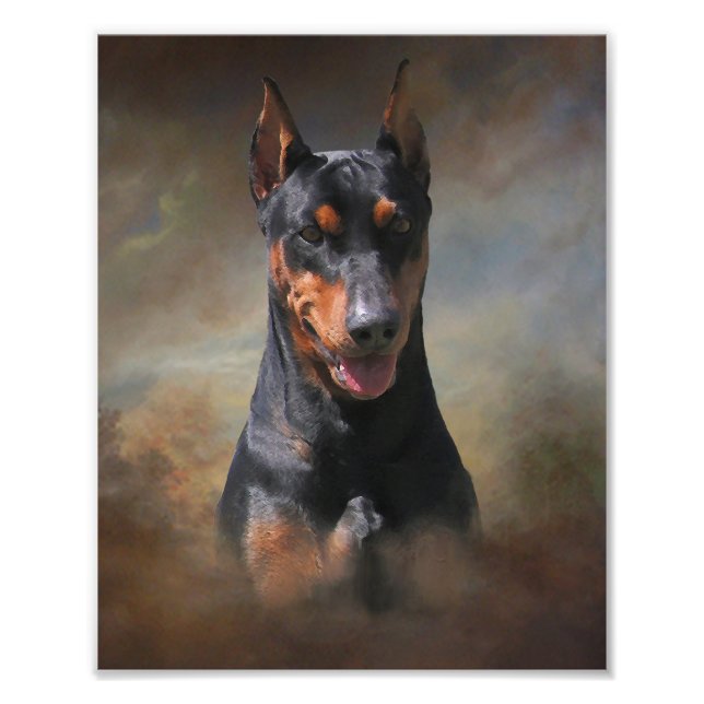 Foto Pinscher Alemão (Frente)