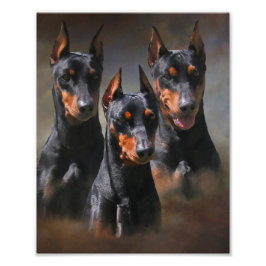 Foto Pinscher Alemão