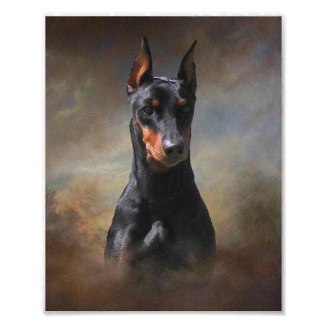 Foto Pinscher Alemão (Frente)