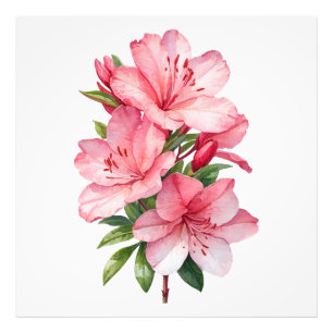 Foto Pintor de aquarela de flor Azalea