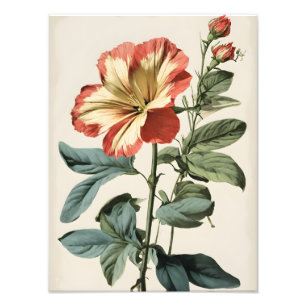 Foto Pintura da Flor de Hibisco Vermelho e Amarelo Vibr