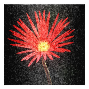 Foto Pintura da Flor Vermelha