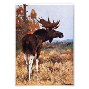 Foto Pintura dos alces do vintage