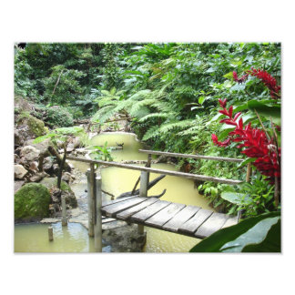 Foto Piscinas de Dominica Sulpher