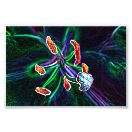 Foto  Pistilo de flor con efecto abstracto