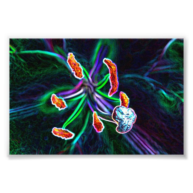 Foto  Pistilo de flor con efecto abstracto (Frente)