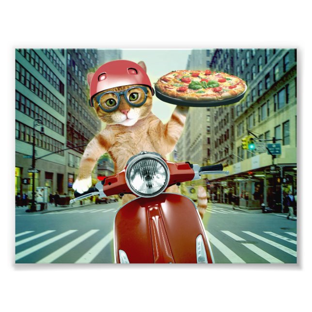 Foto Pizza cat - gato - entrega de pizza (Frente)