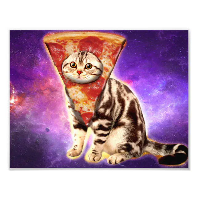 Chaveiro de memes de Gato - meme pizza grumpy cat gatos engraçados pop cat,  Smudge The Cat, gato da salada