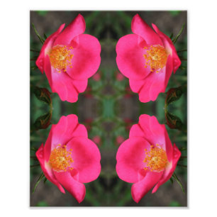Foto Placas cor-de-rosa vívidas, Abstrato, Arte Floral