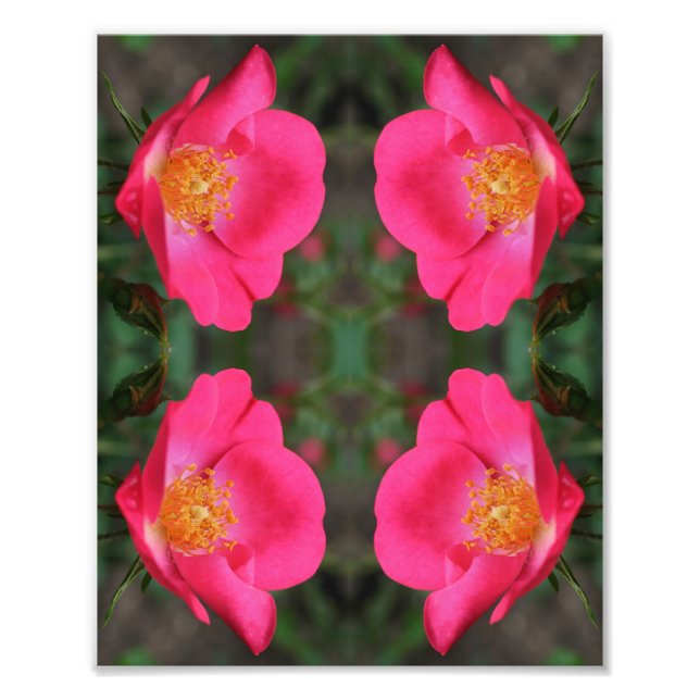 Foto Placas cor-de-rosa vívidas, Abstrato, Arte Floral  (Frente)