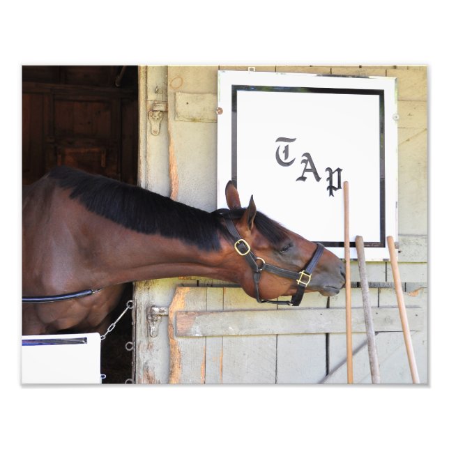 Foto Plano mestre (Frente)