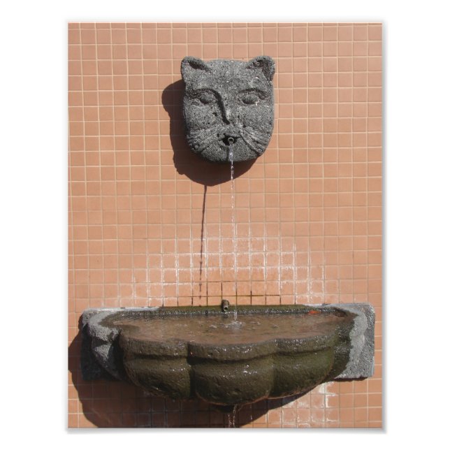 Foto Plaza Cat Fountain (Frente)