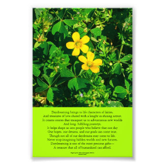 Foto Poema Inspiracional Sonhador