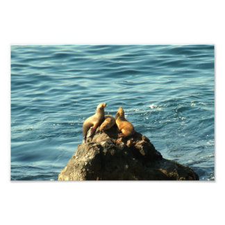 Foto Point Dume State Beach