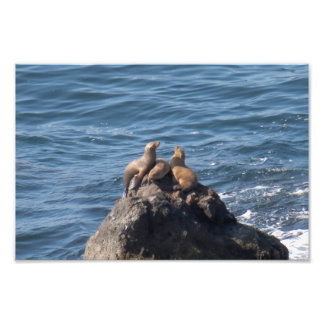 Foto Point Dume State Beach