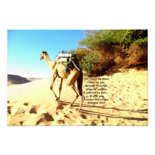 Foto Pois eu sei os planos que tenho.... Jeremiah 29:11