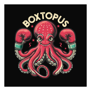 Foto Polvo de Boxe - Boxtopus