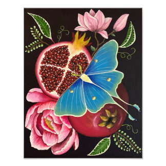 Foto Pomegranato e Luna Moth Fine Art Impressão