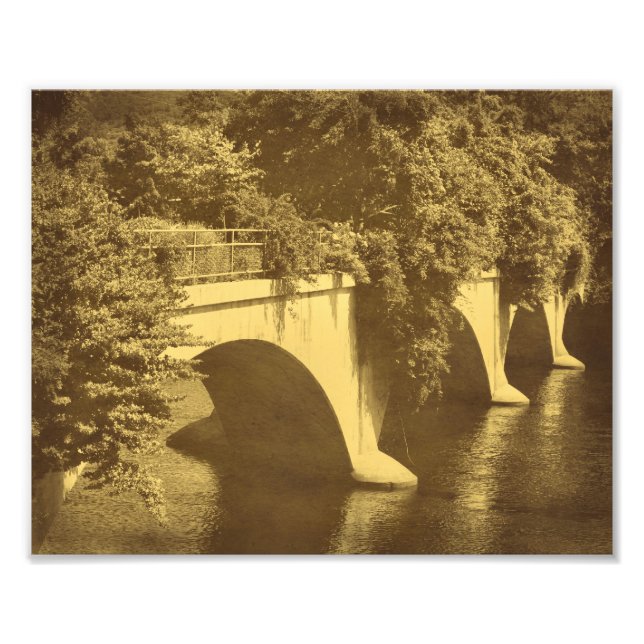 Foto Ponte de Flores, Visão 8x10 (Frente)