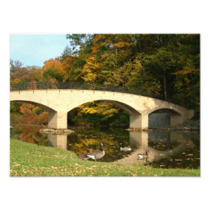 Foto Ponte do arco-íris em queda livre no Grove City Co