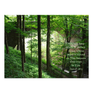 Foto Ponte Florestal Isaiah 26:3 Folhas Verdes