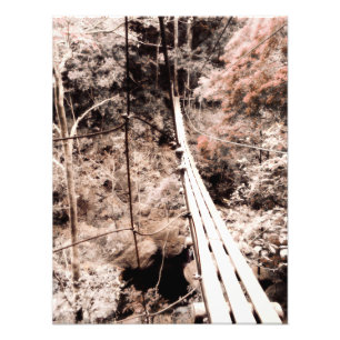 Foto ponte pendurada