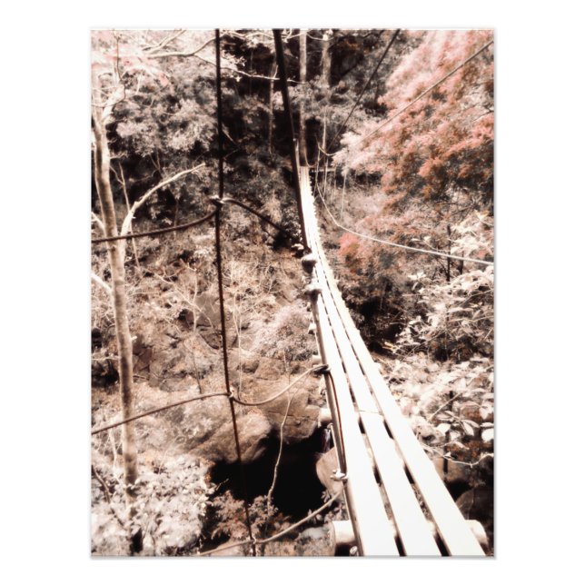 Foto ponte pendurada (Frente)