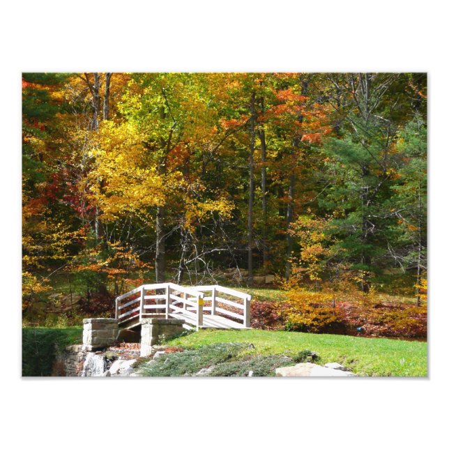 Foto Ponte Seven Springs Fall I Paisagem de Outono (Frente)