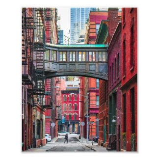 Foto Ponte Staple Street