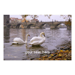 Foto Ponte Swans e Charles em Praga