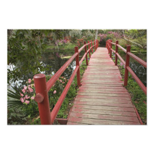Foto Ponte vermelha sobre lagoa, Plantação de Magnoli