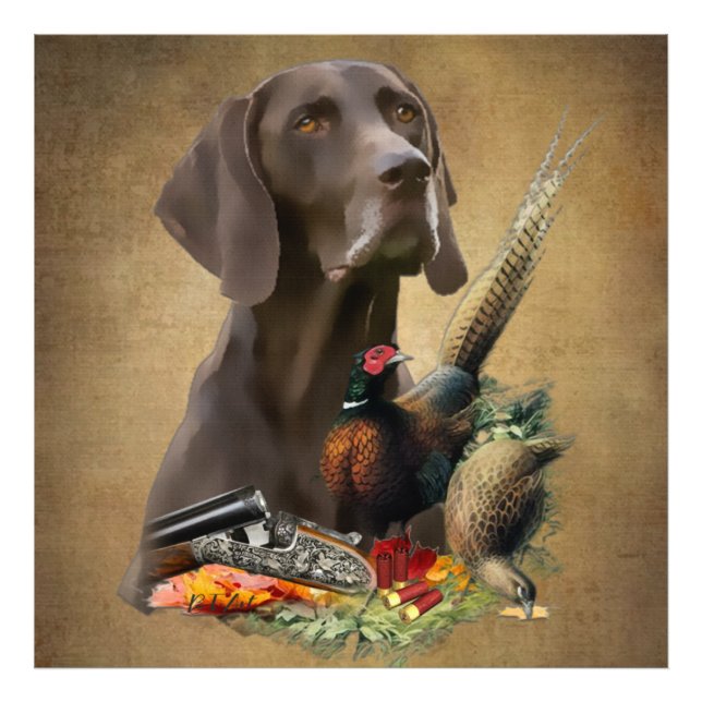 Foto Ponteiro alemão abreviado SPG (Frente)