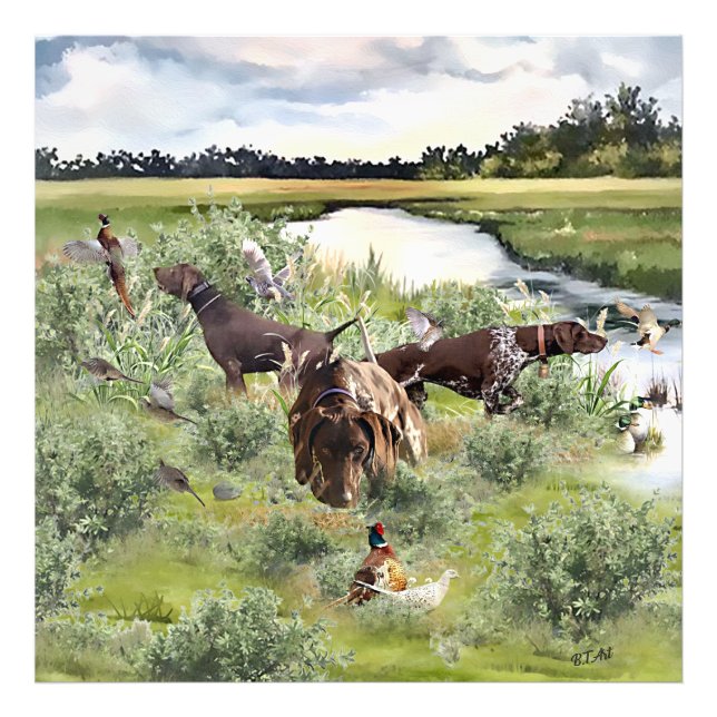 Foto Ponteiro curto alemão (Frente)