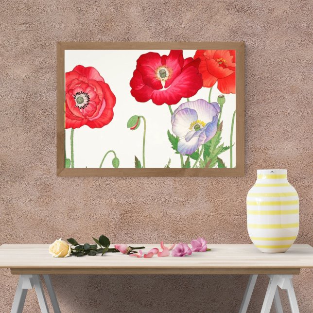 Foto Poppies vibrantes em branco (Criador carregado)