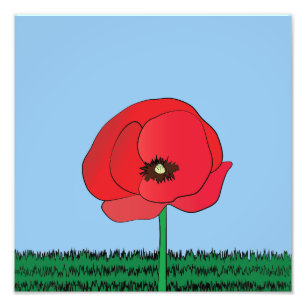 Foto Poppy impressão