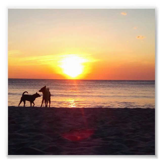 Foto pôr do sol (Frente)