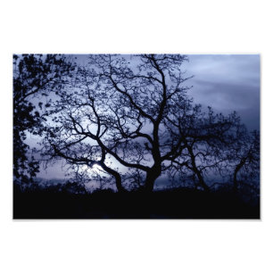 Foto Por do sol da meia-noite