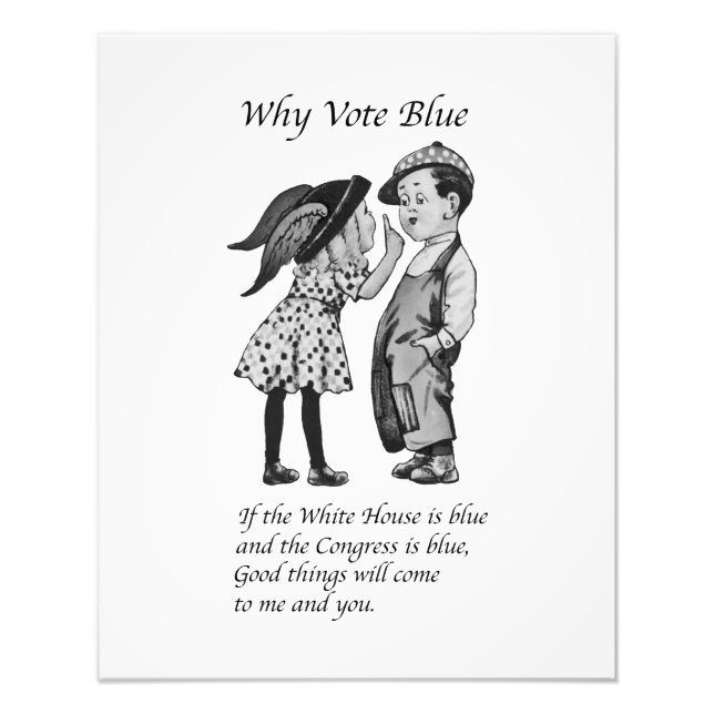 Foto Por que votar totalmente azul em 2028 (Frente)