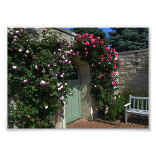 Foto Porta verde da porta de jardim com banco
