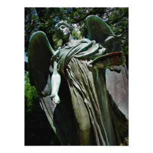 Foto "Portador da Vida"