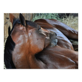 Foto Positivamente Real